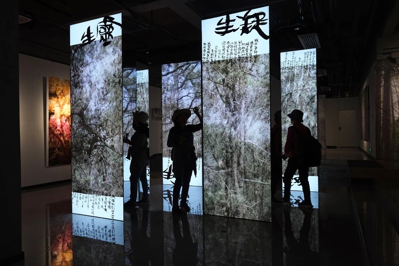 1763436296152837.jpg 微信图片_2025-11-18_111813_852.jpg