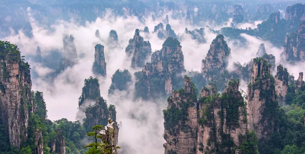 1763436909931330.jpg 640 (1).jpg