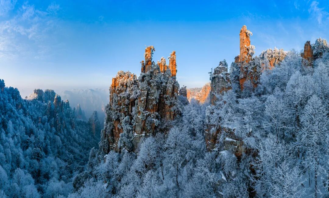 1763436924405658.jpg 640 (2).jpg