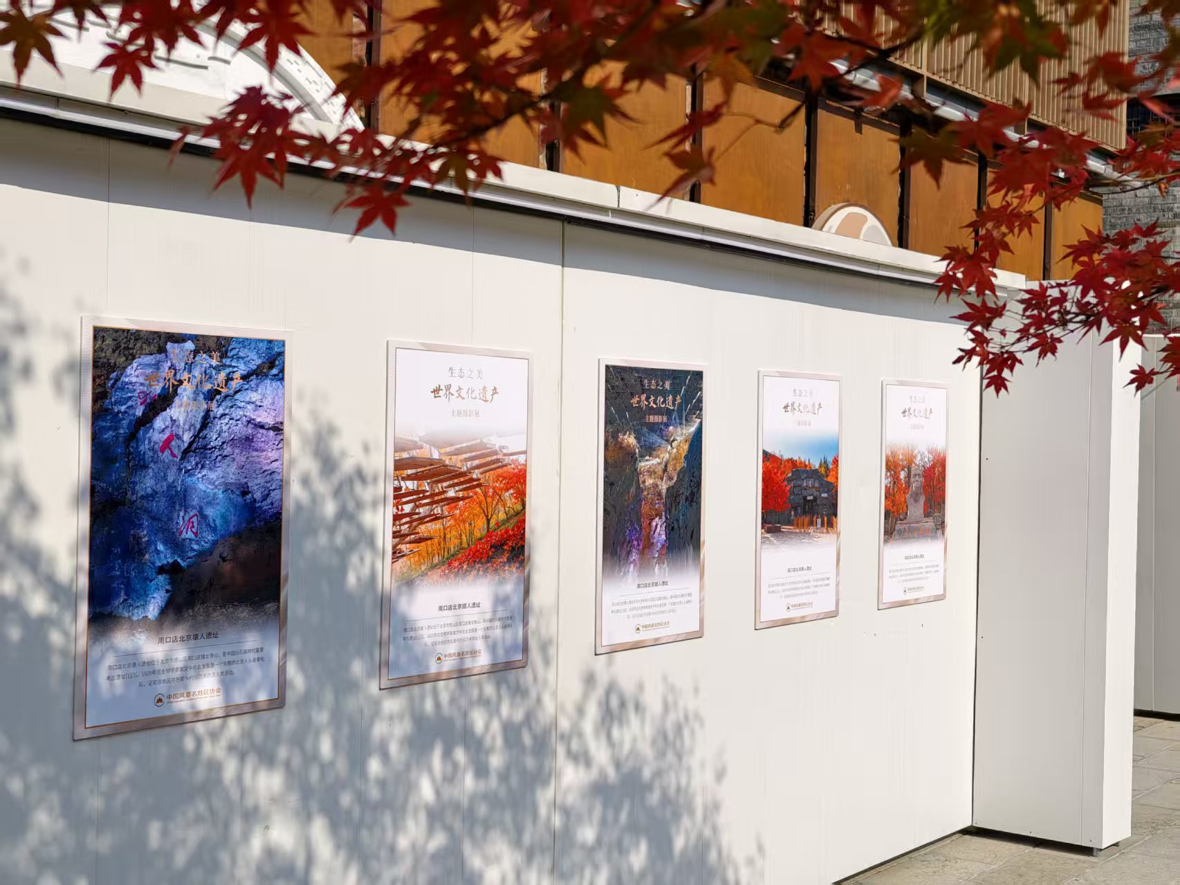 1763518533618767.jpg 微信图片_20251117123112_201_115.jpg