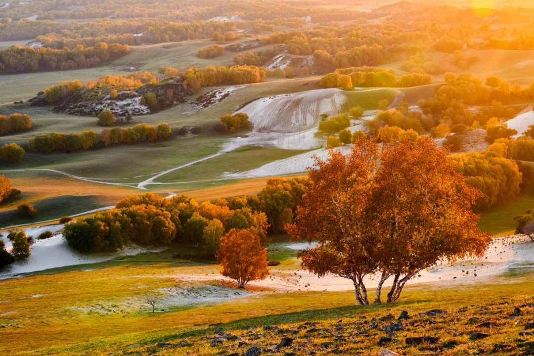 1763631226333934.png 微信图片_2025-11-20_172857_502.png