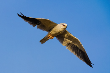 1764820328323286.png ce6ljz7rDkLw.png