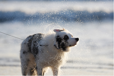 1764820347372293.png ceEZFRLPOboc.png