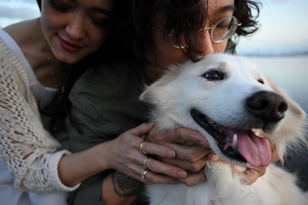 1772514984268346.jpg image001.jpg