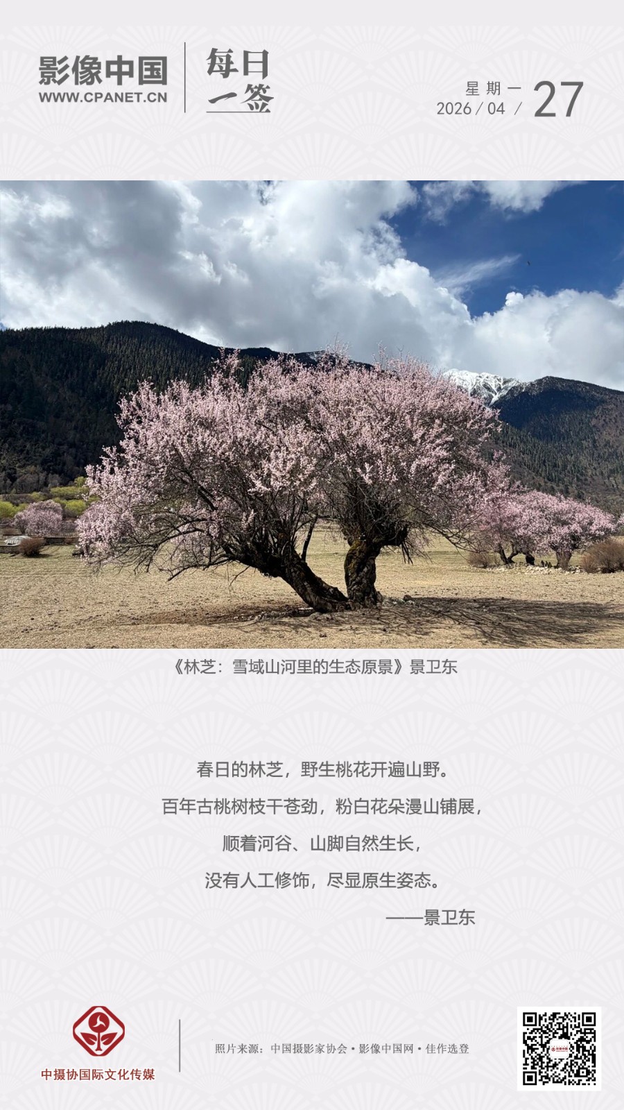 2026.4.27 拷贝.jpg