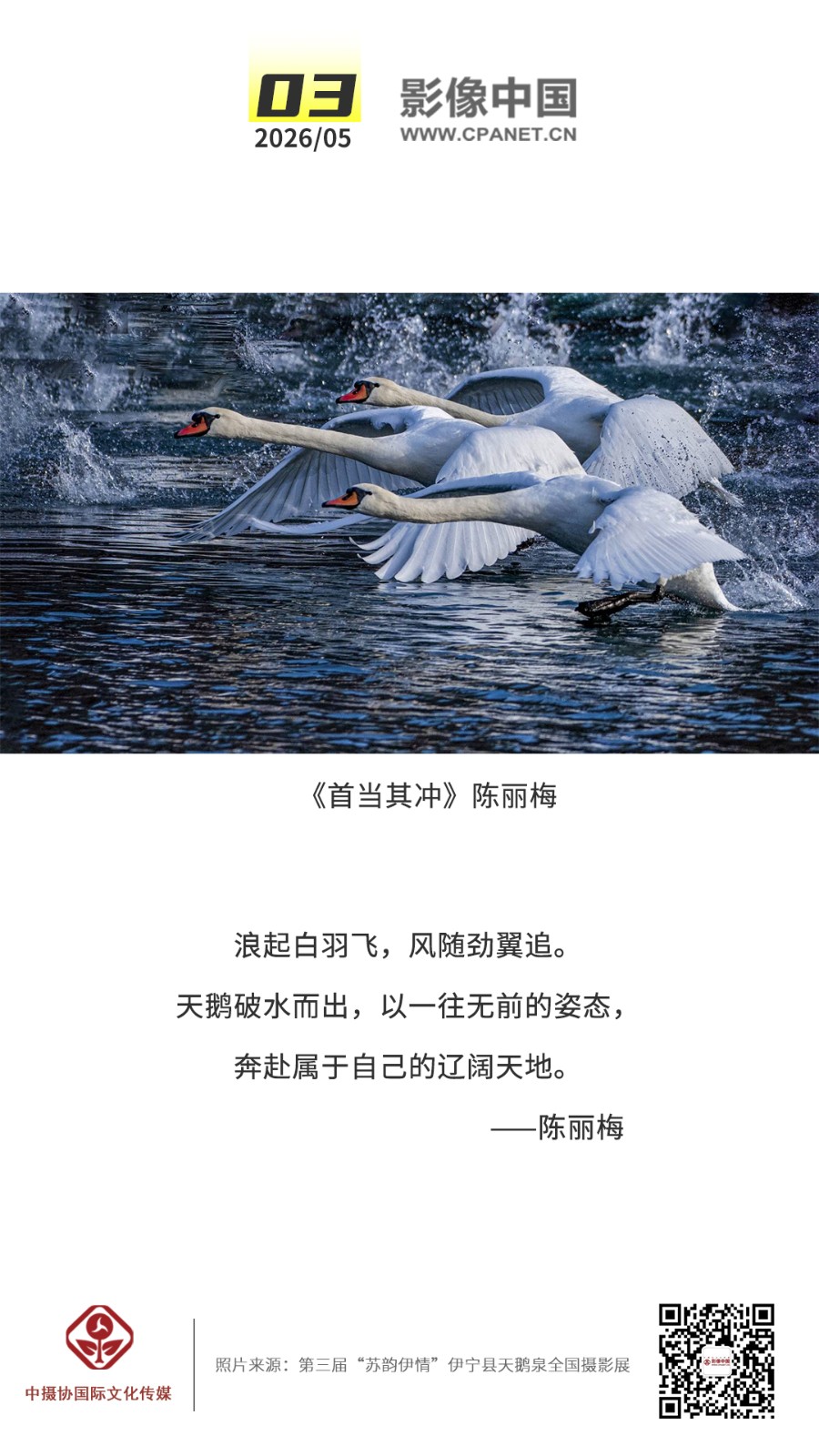 2026.5.3 拷贝.jpg