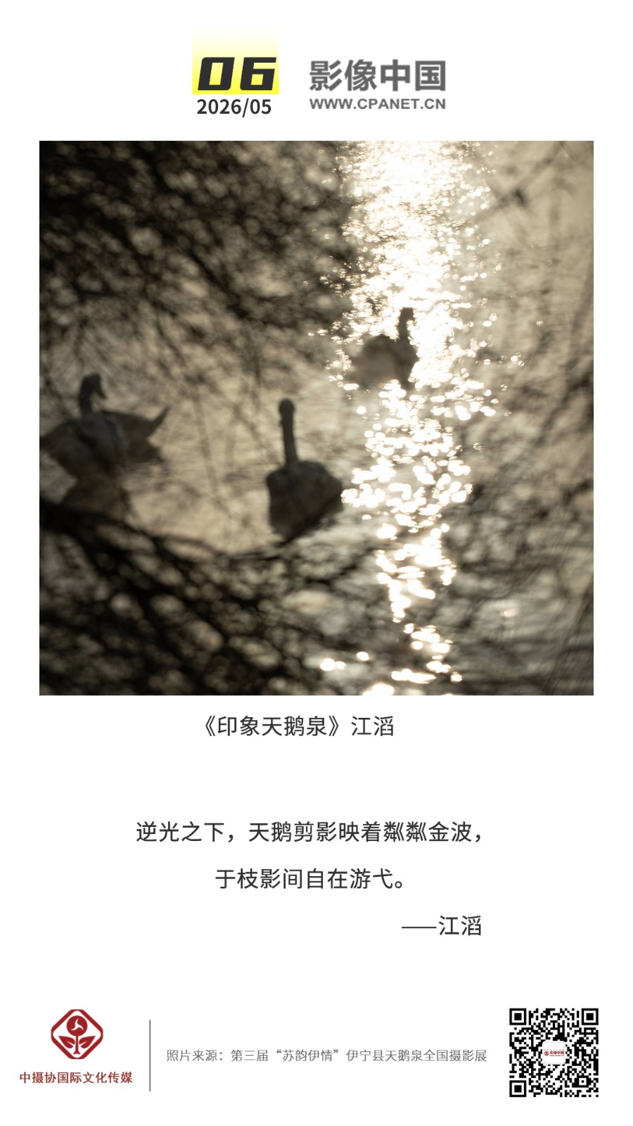 2026.5.6 拷贝.jpg