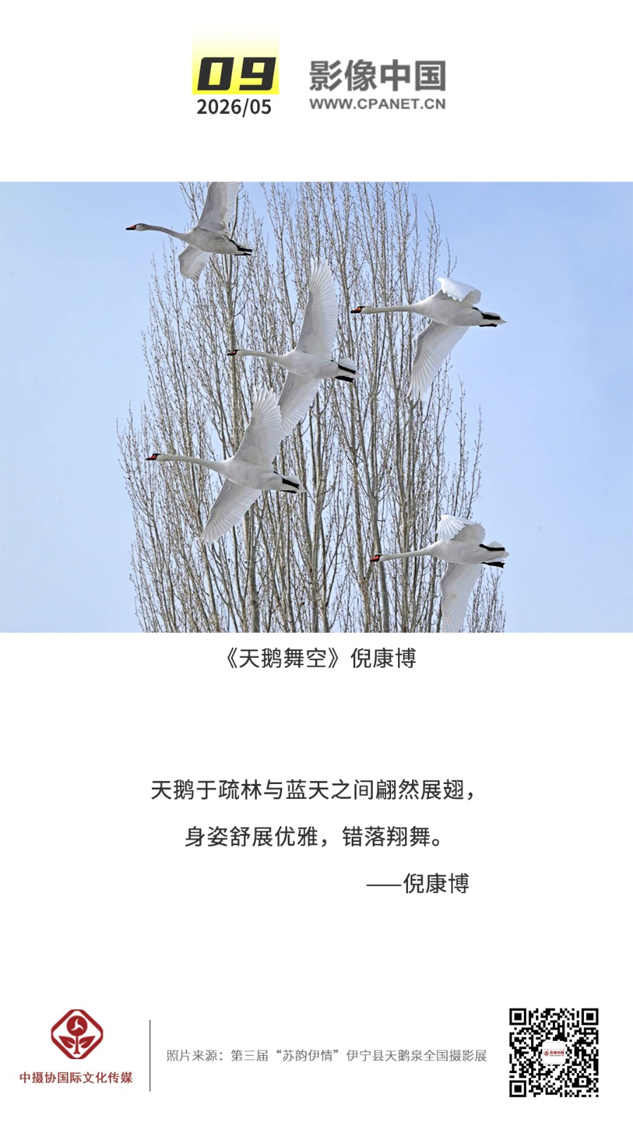 2026.5.9 拷贝.jpg