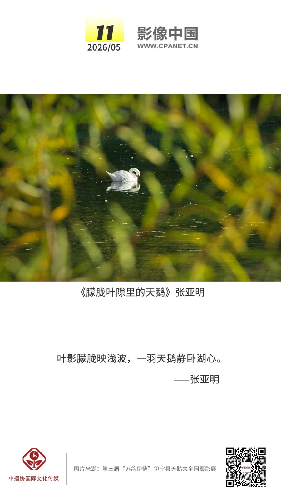 1777207743444177.jpg 2026.5.11 拷贝.jpg