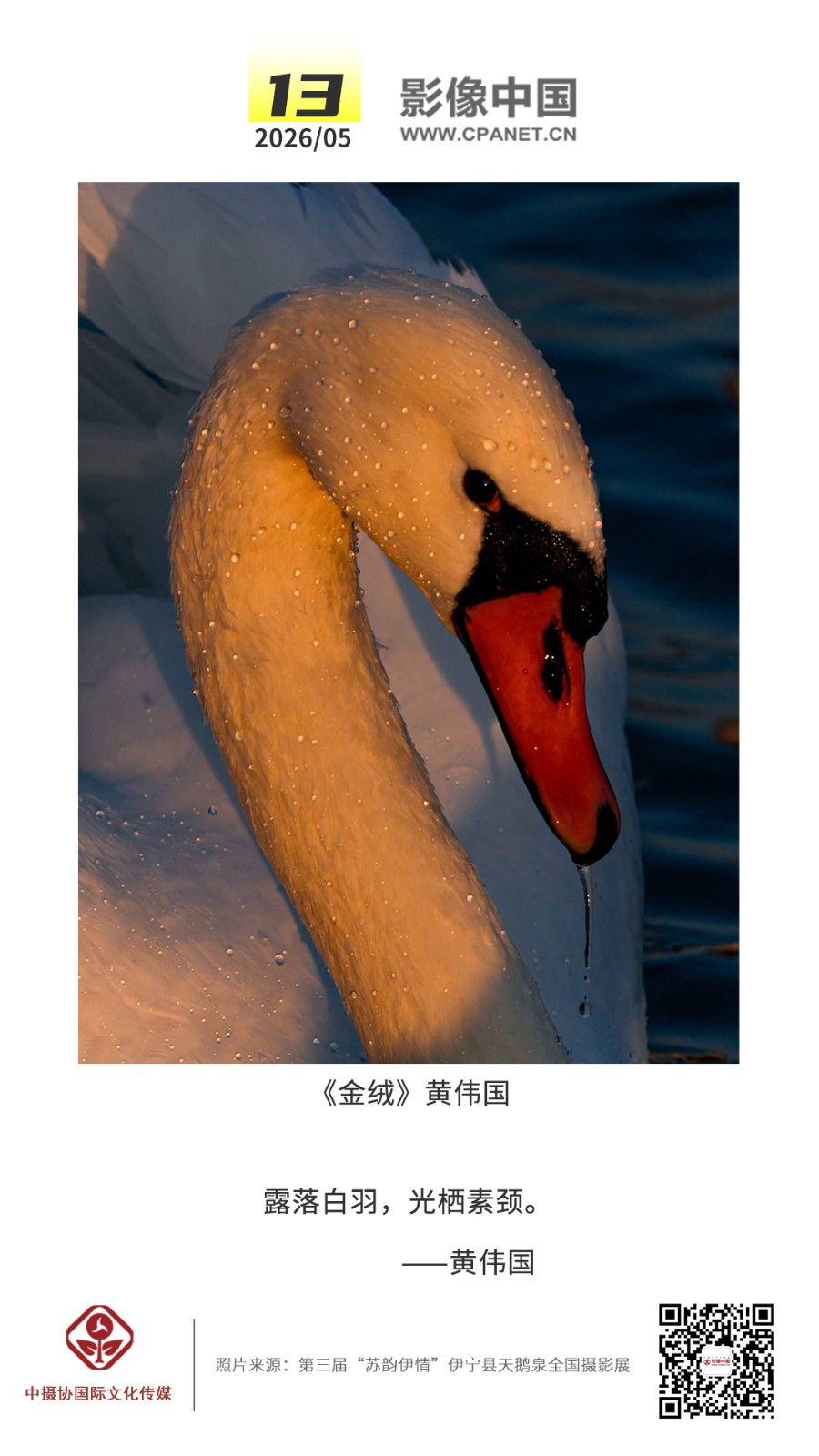 1778314181126342.jpg 2026.5.13 拷贝.jpg