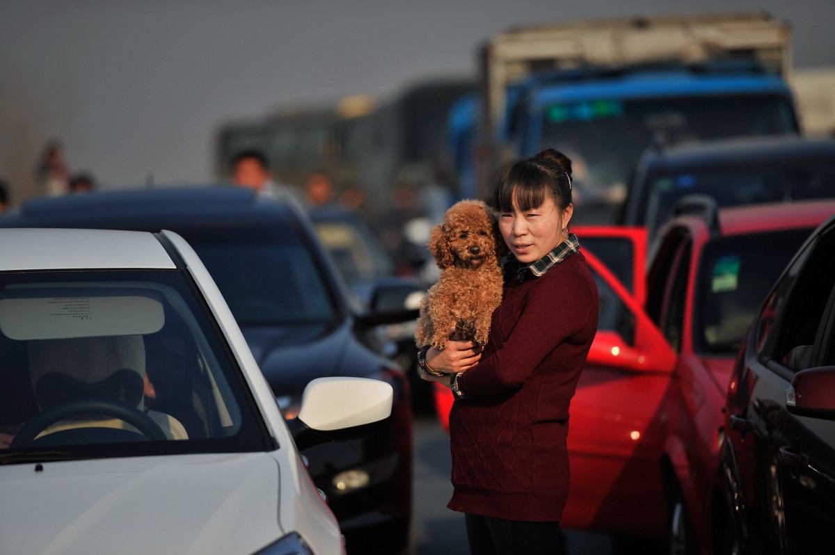 1780161910314025.jpg