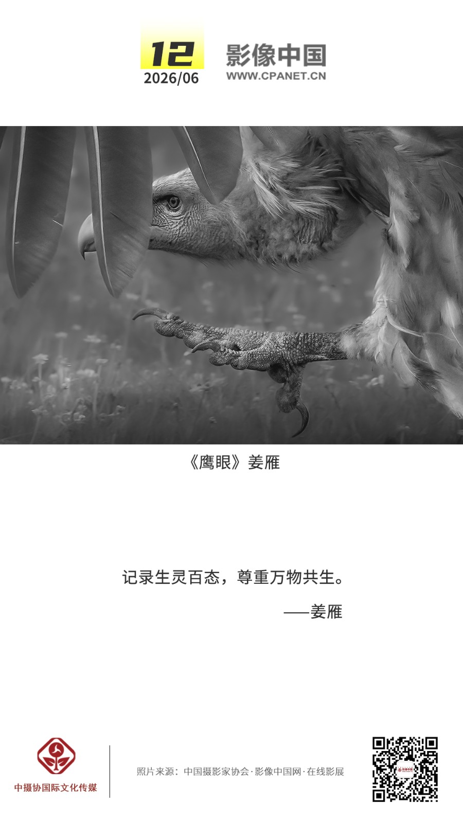 1780834342155177.jpg 2026.6.12 拷贝.jpg