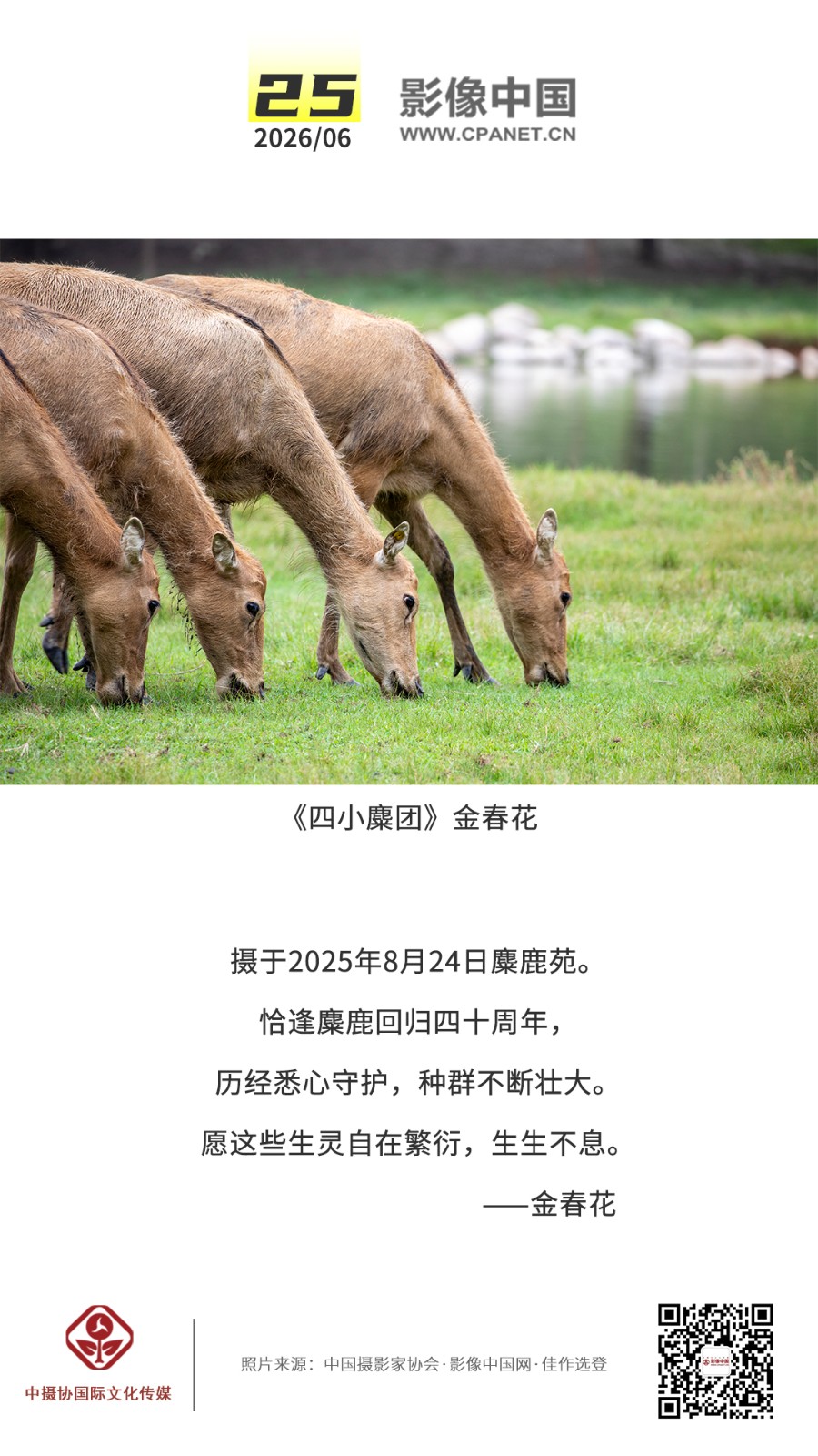 2026.6.25 拷贝.jpg