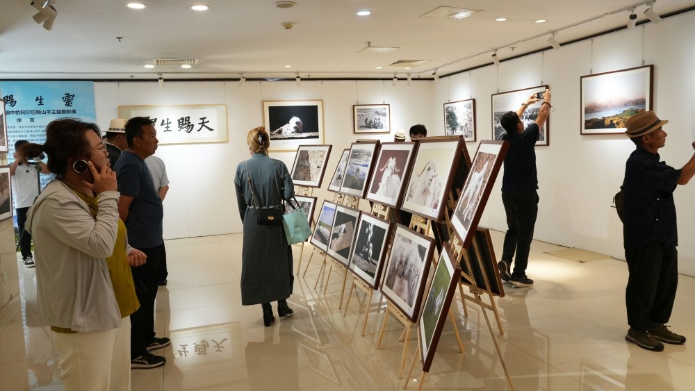 1782375670601459.jpg IMG_5870_副本.jpg