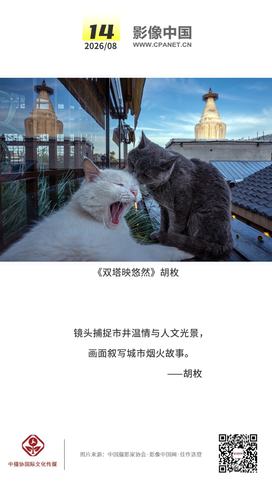 1785486810145849.jpg