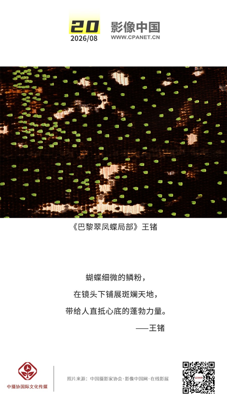 1785486810761585.jpg