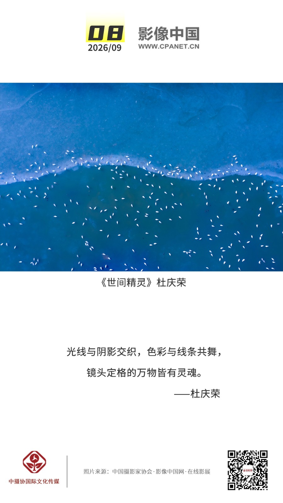 1787712917462131.jpg