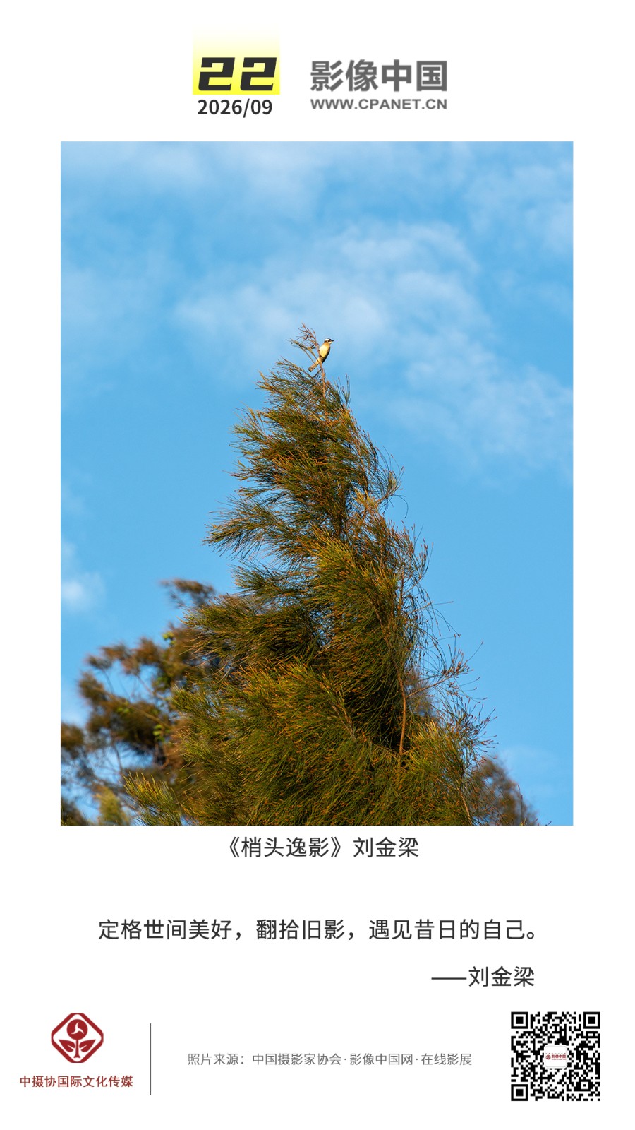 1788761896188790.jpg 2026.9.22 拷贝.jpg