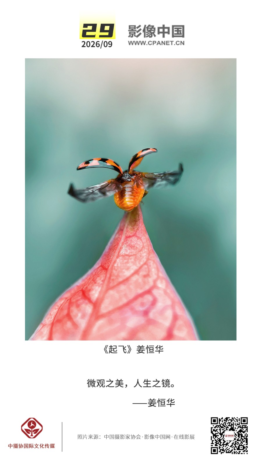 1789095597637976.jpg 2026.9.29 拷贝.jpg