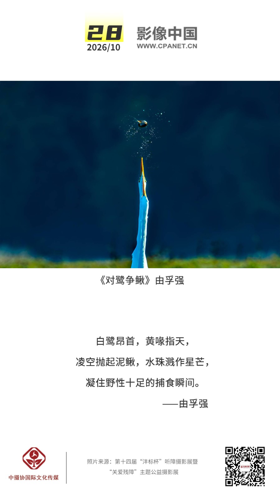 1792650054797399.jpg